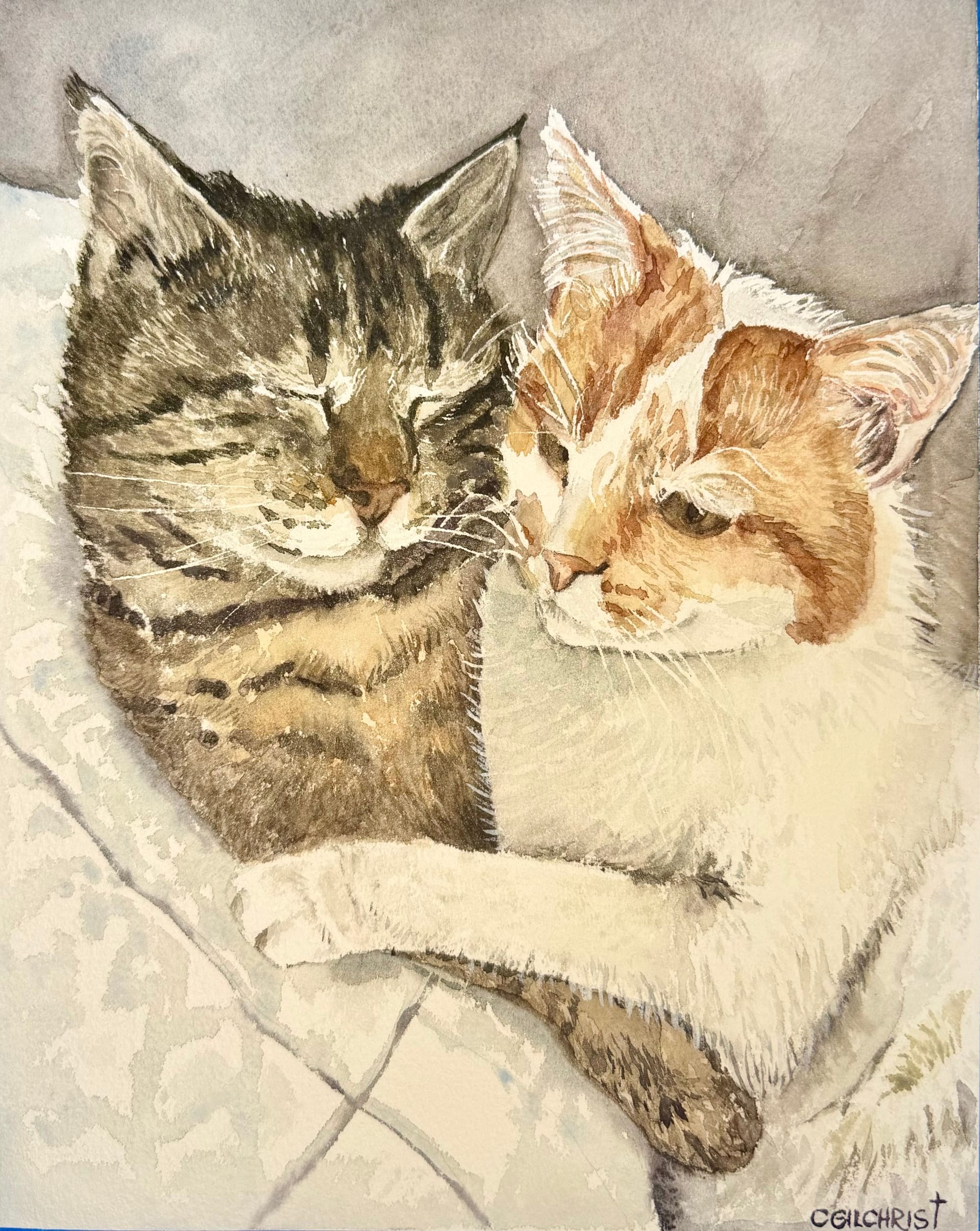 Kitty Snuggles