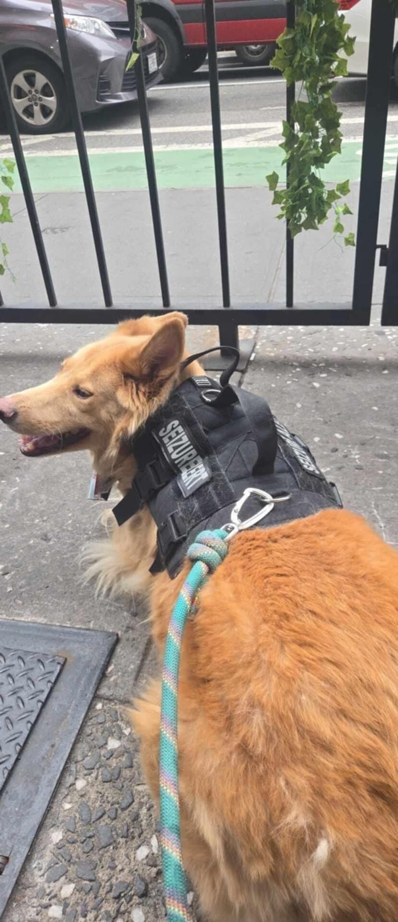 Zoe Maye Van Smoot- Director of Health Support and Security