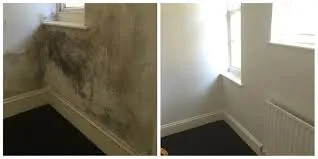 How to Treat Damp & Mould on Interior Walls – Complete Guide for Homeowners