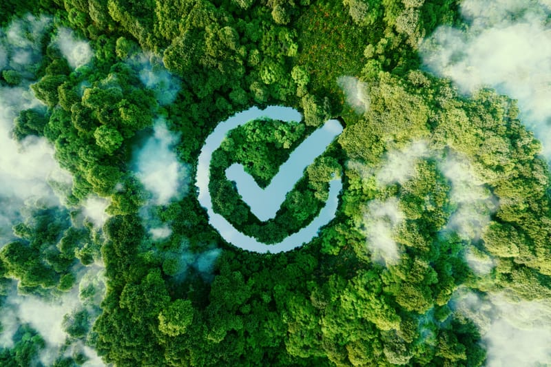 Environmental Impact Assessment
