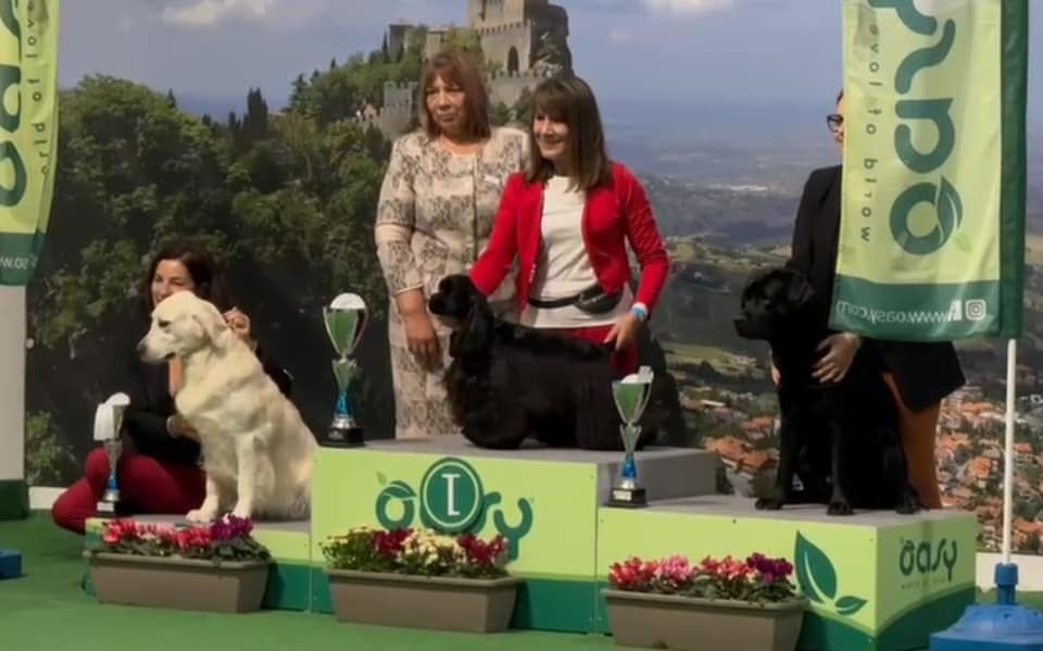 CACIB - San Marino - Oct 2024