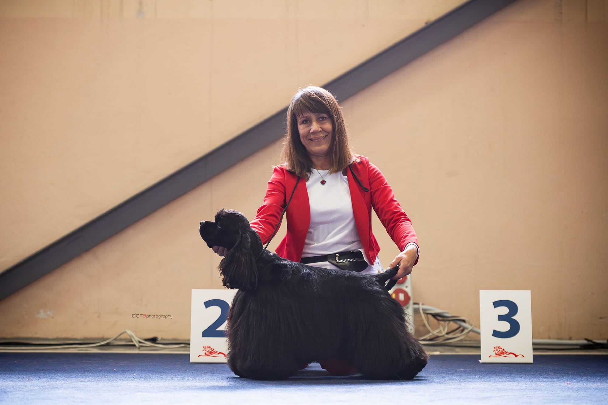 Euorpean Dog Show - Celje, Slovenia - 2024