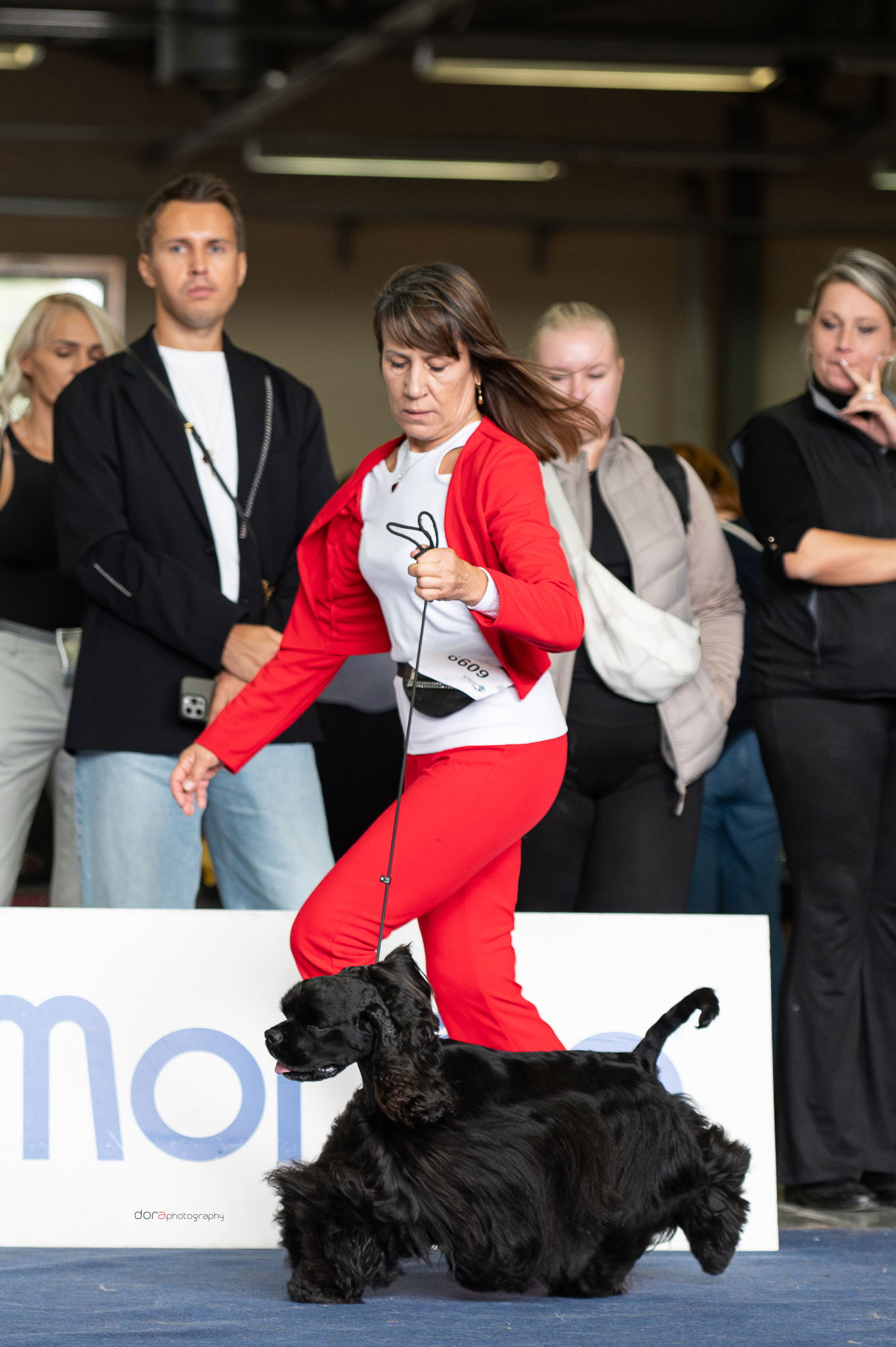 European Dog Show - Celje, Slovenia - 2024