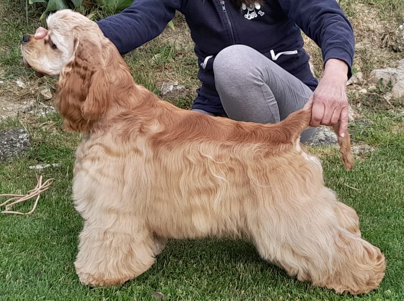 JCh.Light&Dark's Here I Come