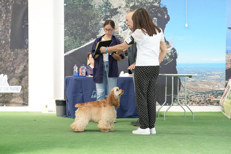 Great news from the Rep. Of San Marino!