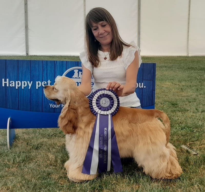 Fantastic News from Postojna Summer Show!!!