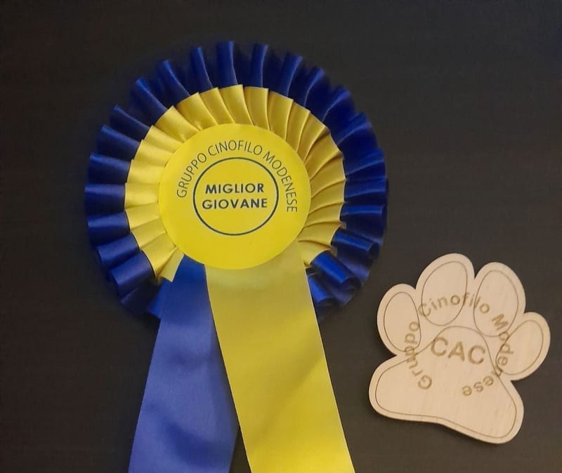 Our first Show after some well deserved summer vacation!