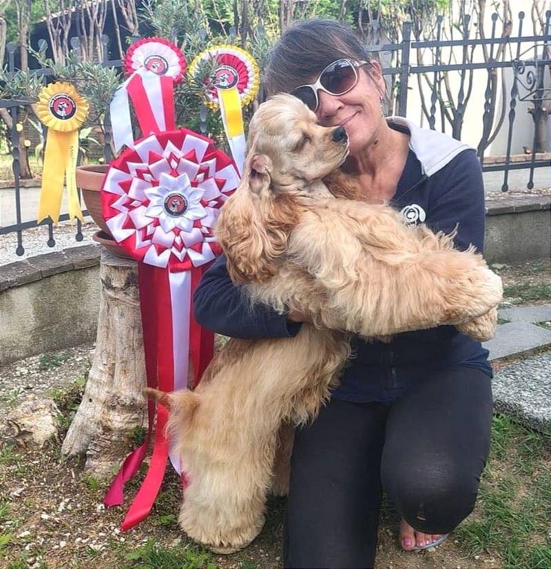 Smashing News from Alfonsine!!!!