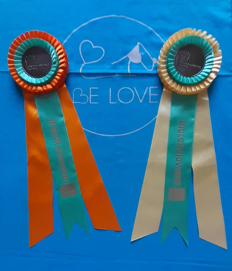 Our last venture in the month of August 2025 was Gradisca, Italy