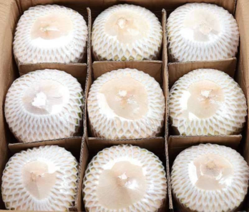 Product Details & packing