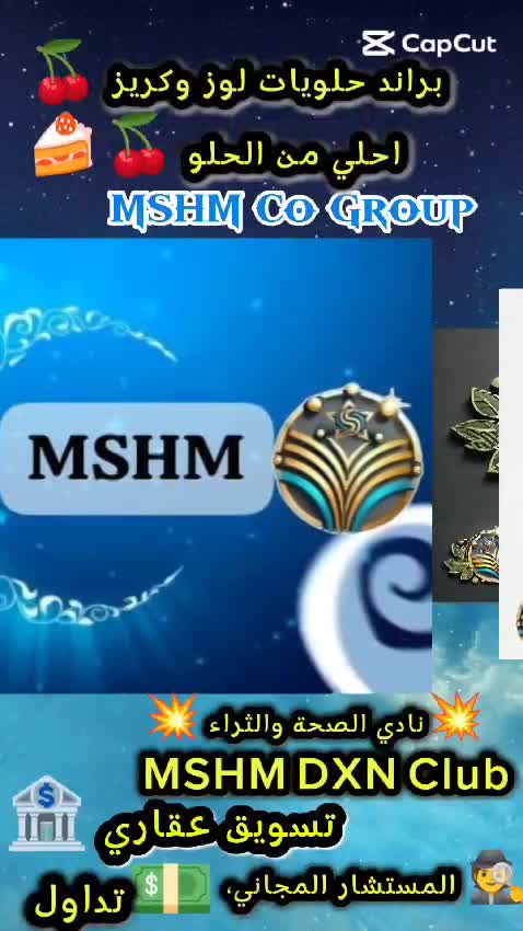MSHM Co Group  thumbnail