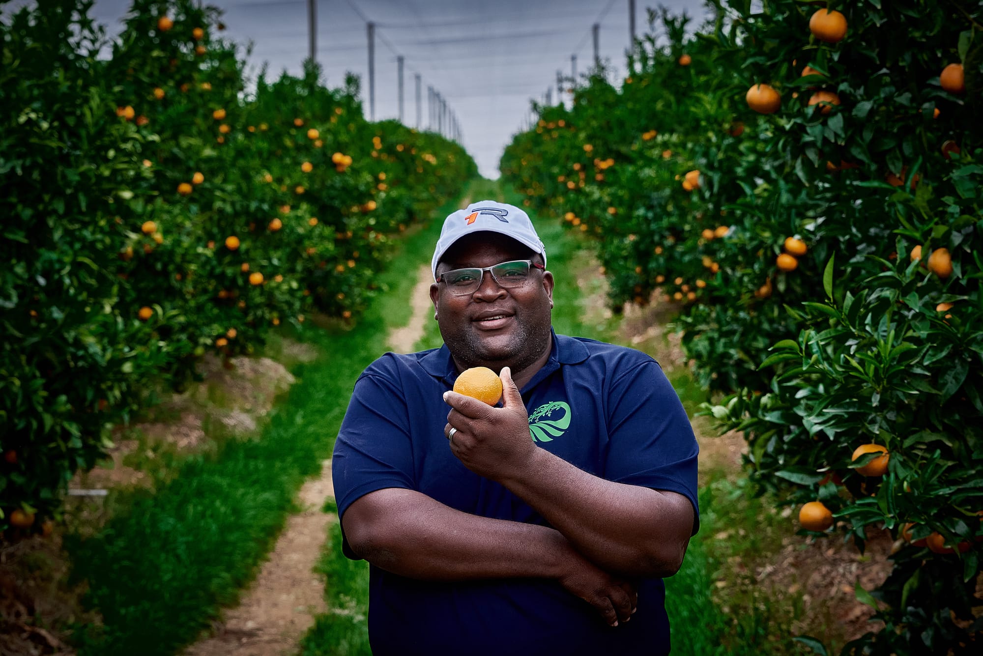 The most recent GDP figures indicate enhanced performance in the Western Cape's agricultural sector.