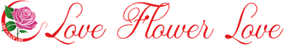 LOVE FLOWER LOVE