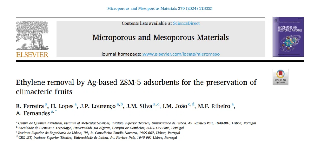 Artigo MIcroporous and Mesoporous Materials