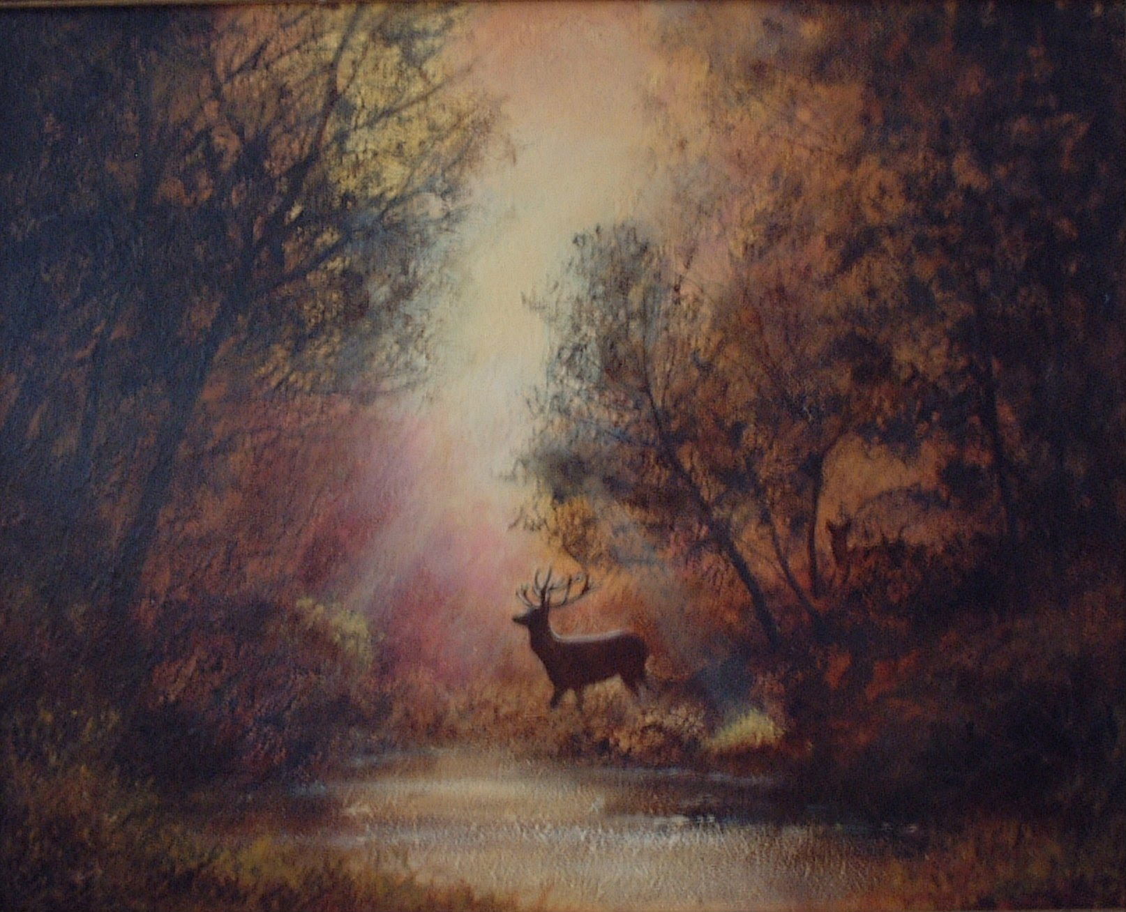 Stag and Hinds in Forest