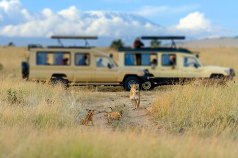 3 Nights - Big 5 Experience