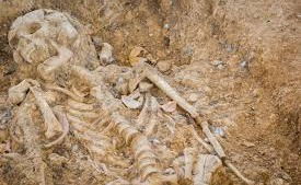 Mambasa : Des ossements de cinq personnes découvertes à Matembwe