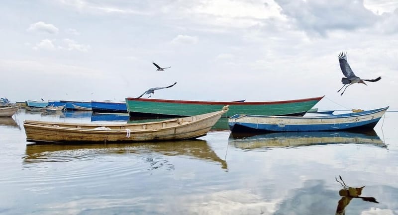 Ituri : La société civile demande la matérialisation de la démarcation de la limite entre la RDC et l'Ouganda sur le lac Albert à Mahagi