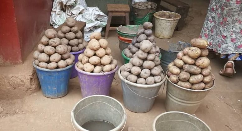 Nord-Kivu : Flambée de prix de pomme de terre à Butembo