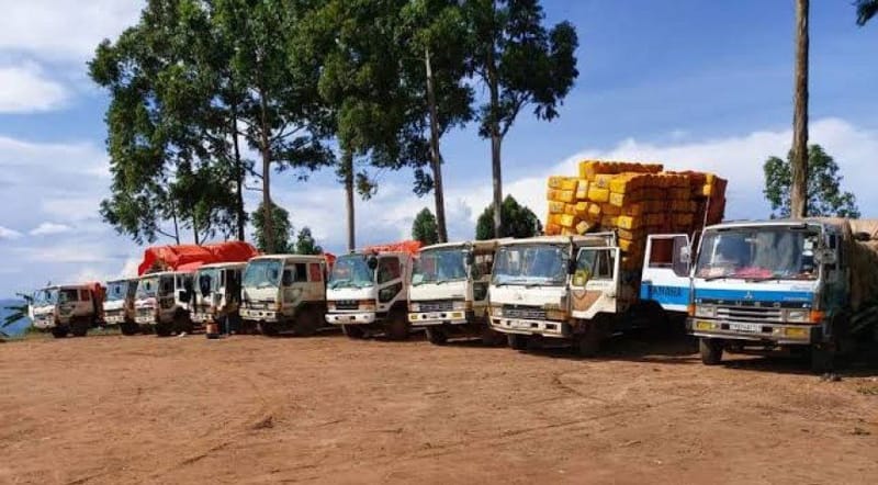 Nord-Kivu : Plusieurs camions bloqués par les rebelles du M23 à Lubero