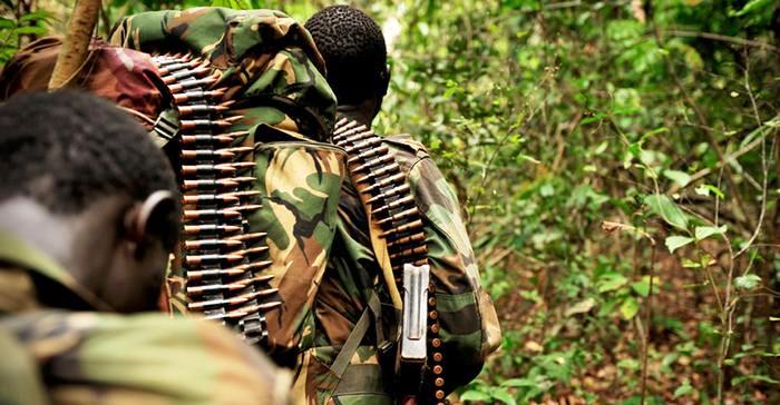 Nord-Kivu : Les Wazalendo et les ADF s'affrontent à Lubero, le bilan est lourd