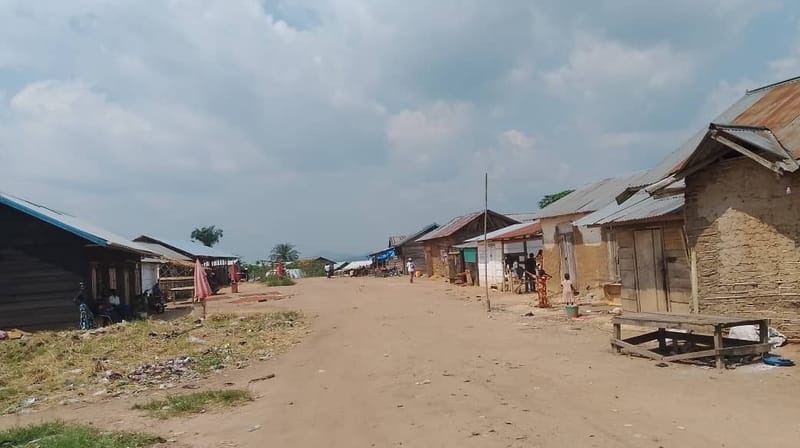 Walese-vonkutu/sécurité : Une femme tuée et d'autres personnes blessées dans un cambriolage à Mungamba