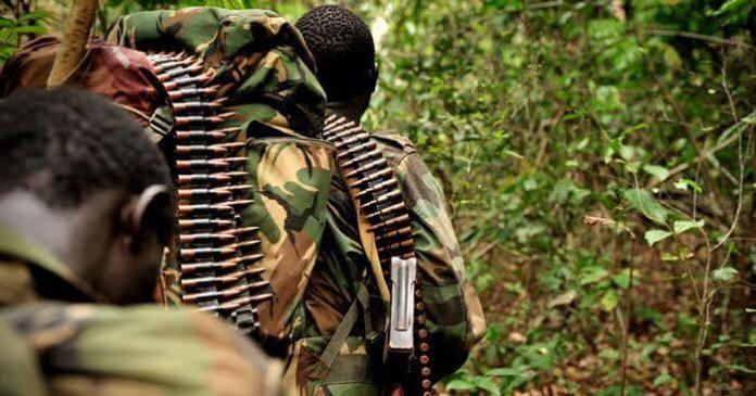 Nord-Kivu : Échange des tirs entre 2 groupes armés près de Butembo