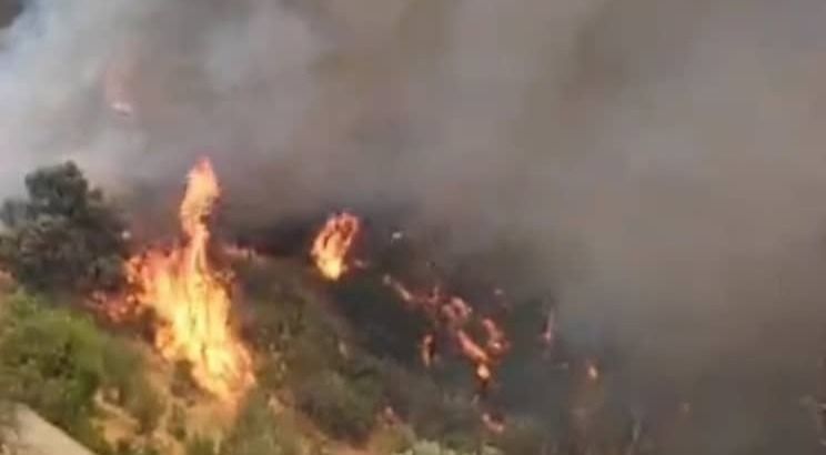 Ituri : Une église catholique au côté des maisons d'habitations incendiées par des miliciens à Djugu