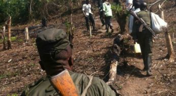 Beni : Une femme assassinée par un homme en uniforme militaire à Bashu