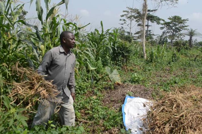 Nord-Kivu/Insécurité : Des travaux champêtres paralysés ce vendredi près de Beni