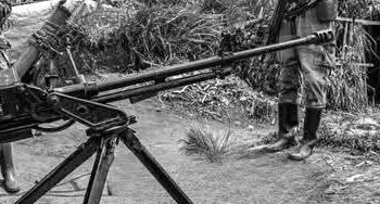 Ituri : 3 déplacés de guerre fusillés par des CODECO à Djugu