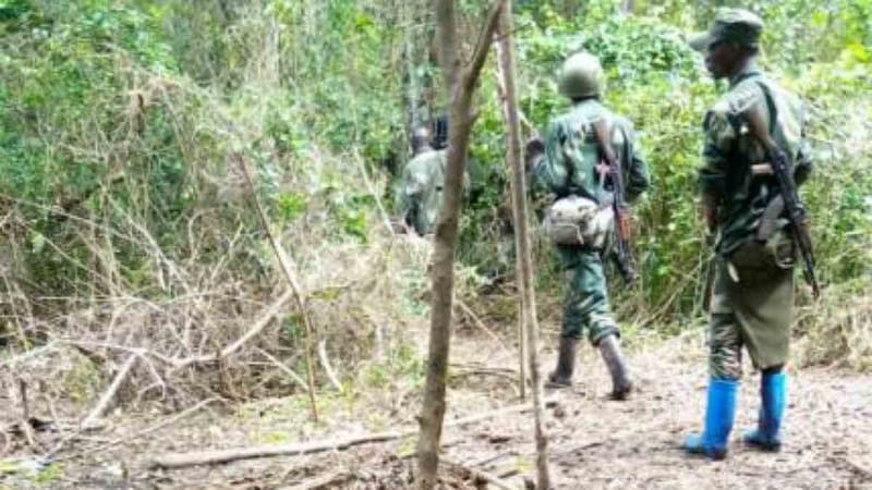 Nord-Kivu : Nouvelle incursion meurtrière des ADF à Beni, ce jeudi voici le bilan