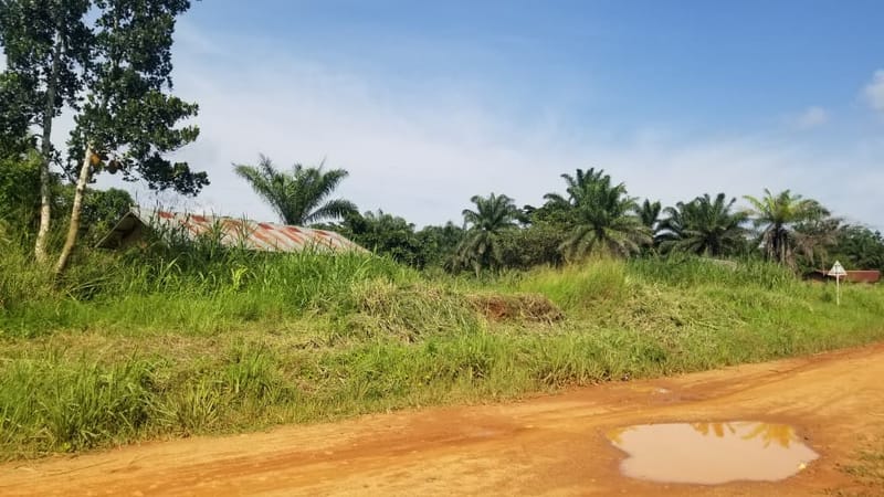 ITURI : 3 morts dans une nouvelle attaque des ADF en chefferie des Walese Vonkutu