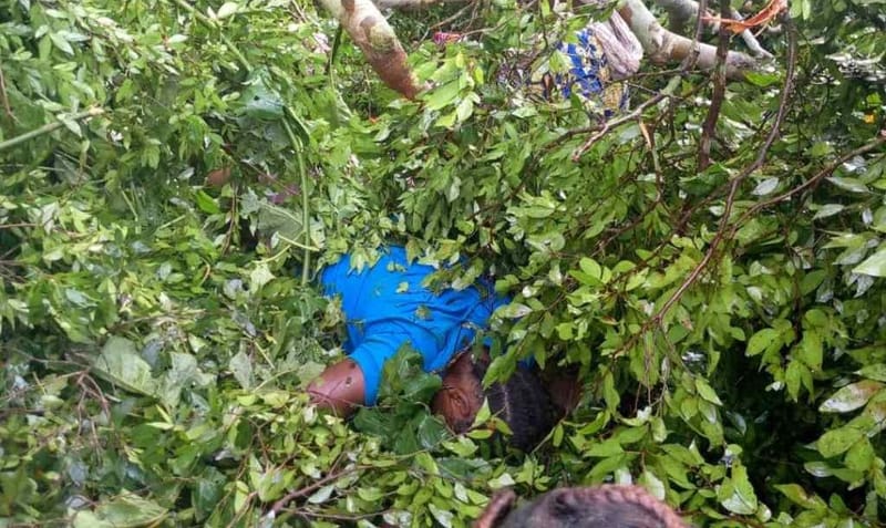 Lubero : 3 otages des ADF retrouvés morts près de Manguredjipa