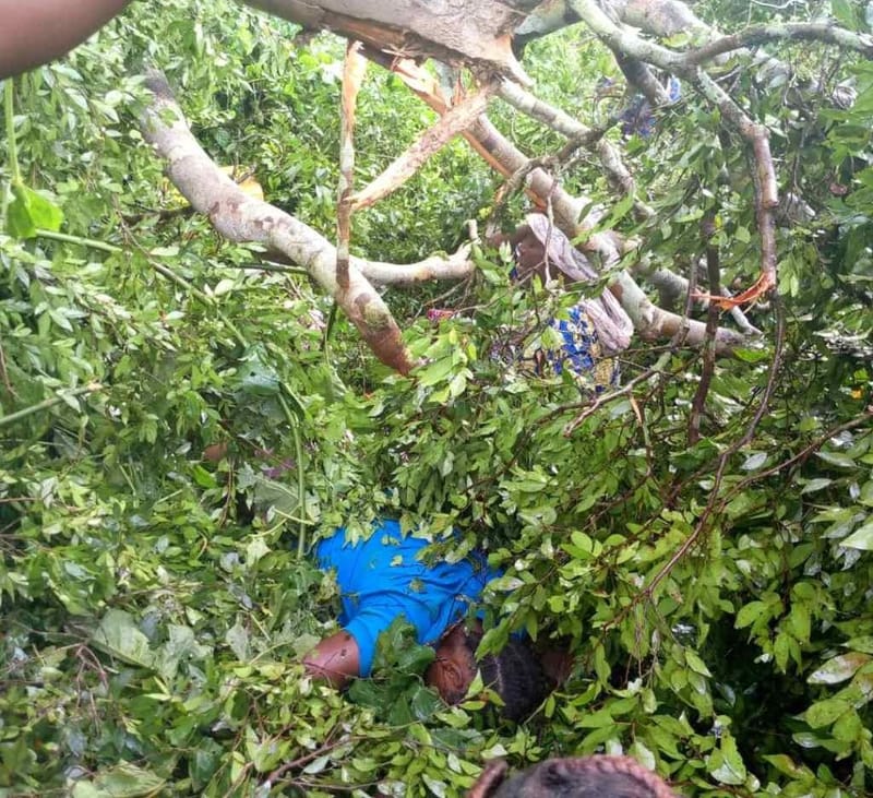Beni : Un tronc d'arbre fait mort d'homme à Bashu, voici le bilan