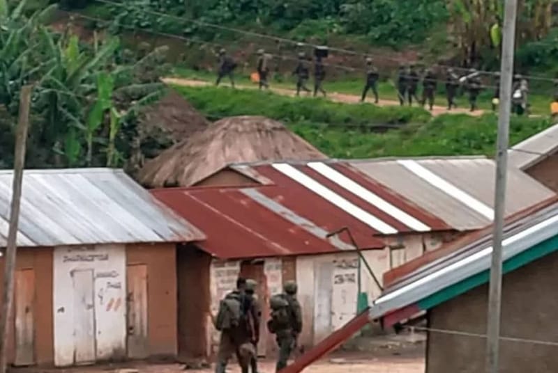 Nord-Kivu : Échange des tirs entre Wazalendo et FARDC à Walikale, voici le bilan