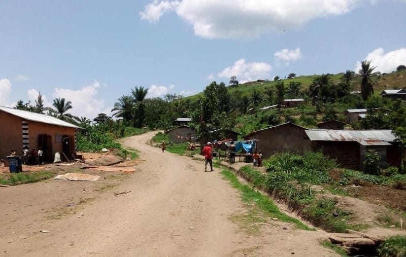 Mambasa : CRIME ODIEUX À MANYAMA, Un Habitant Enlevé et Retrouvé Mort, La CRDH Dénonce la Recrudescence de l'Insécurité