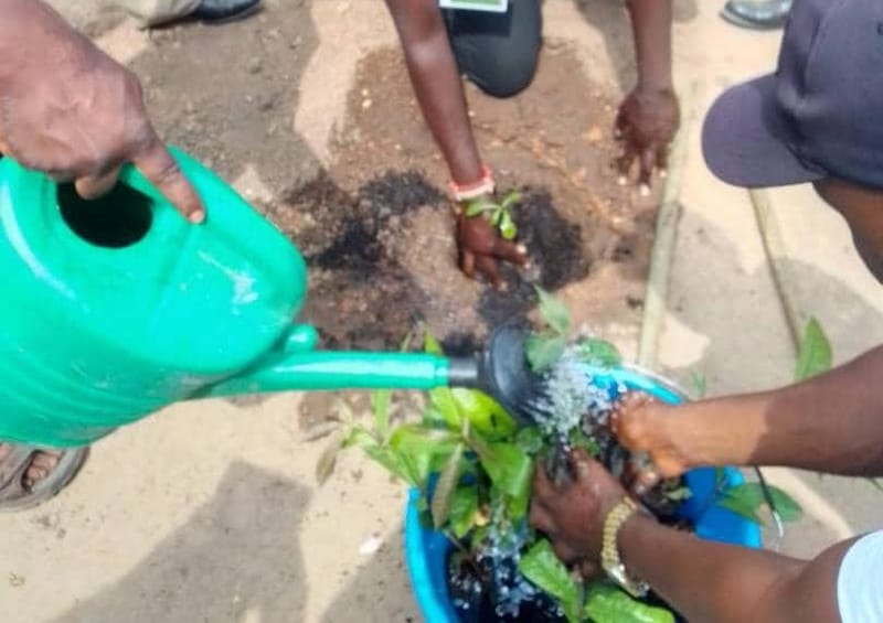 IRUMU : Mungamba célèbre la Journée nationale de l’arbre pour un futur plus vert