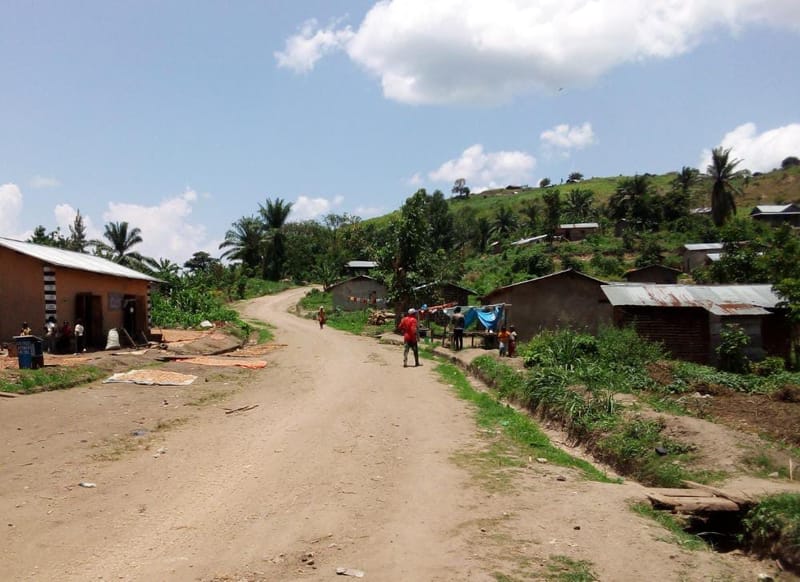 Mambasa : ADF NALU frappent à Sita-Rudi et Kadika, la population en alerte