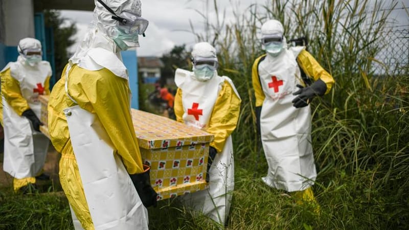 Nord-Kivu/Insolite : Une femme égorgée par son propre fils à Beni