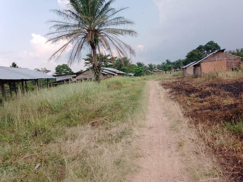 Irumu : Découverte macabre des trois corps sans vie à Bandavilemba