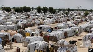 Mambasa: Plus de 17 000 déplacés venus de Babila Bakwanza et Babombi, vivent sans assistance