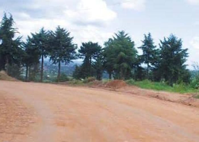 Ituri : Après quatre décennies d’abandon, l’axe Kamaka-Nzinzi rouvre et redéfinit les dynamiques régionales