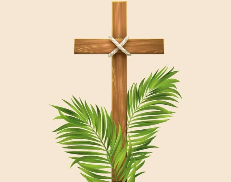 Religion : Célébration du dimanche des Rameaux, les fidèles entrent dans la Semaine sainte