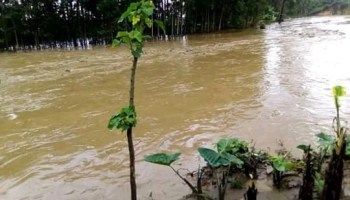 Nord-Kivu/Lubero : Un corps sans vie d'un homme repêché des eaux de la rivière Biena