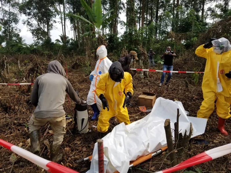 Attaque des ADF contre les civils à Mambasa/Ituri : Des corps éteints découverts en brousse