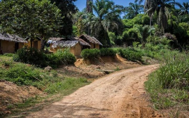 Tshopo/Activisme des rebelles ADF : Une dizaine de villages abandonnés à Bafwasende