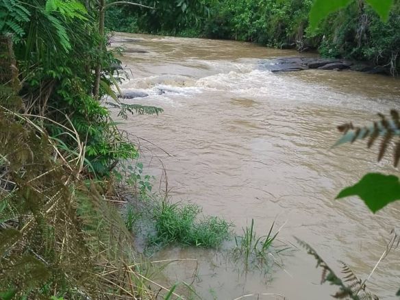 Beni/Mabalako : Un jeune homme de 18 ans disparaît par noyade dans la rivière Loulo
