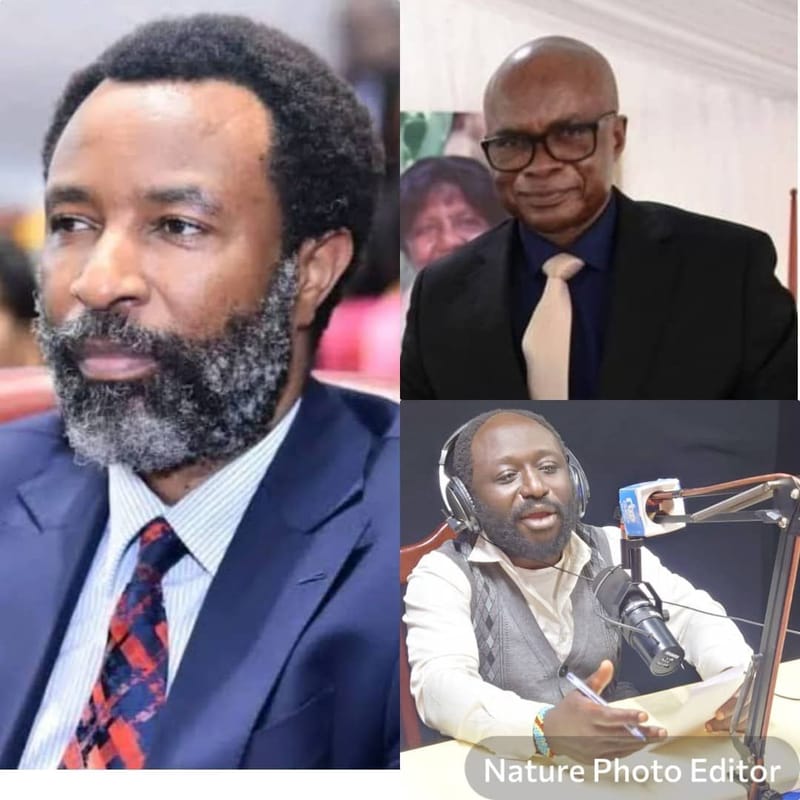 Butembo : Kambale Issa du PDF salue l'implication du député Mbindule Mitono dans l'autonomisation de Congo Full Power