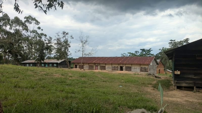 Irumu : après cinq ans de déplacement, les écoles reprennent sur l’axe Komanda–Luna dans des conditions difficiles